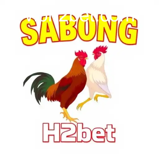 Exploring Sabong Games with H2bet: Tradition Meets Technology